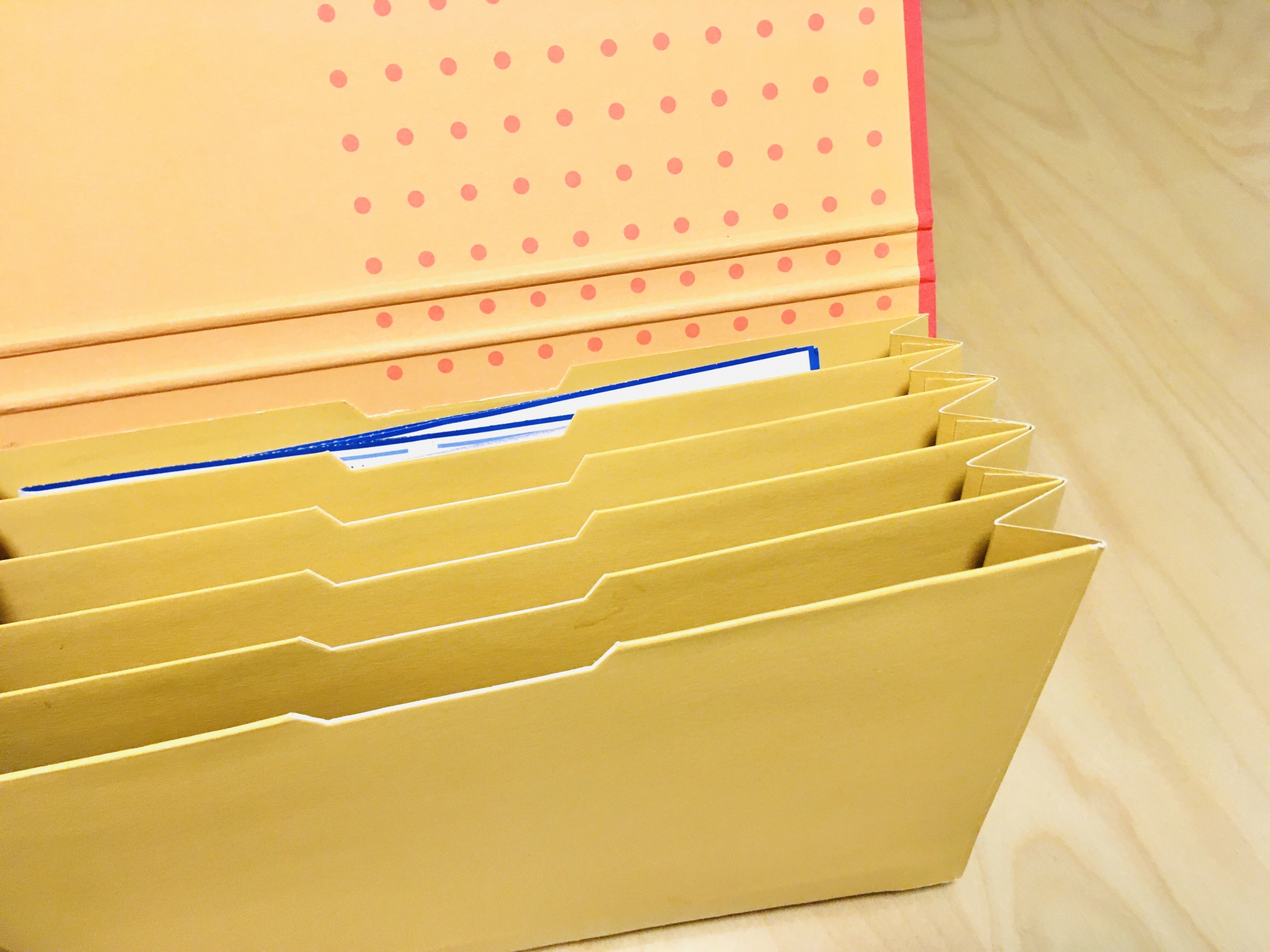 実家に関する書類を一つのファイルにまとめるイメージ